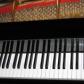 piano lessons for students of all ages in Tampa